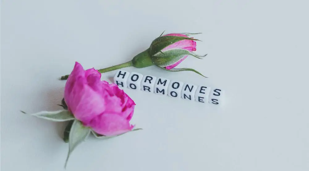 Natural Hormone Replacement Therapy in Tampa, Florida - Benefits
