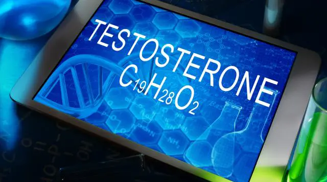 Best Testosterone Boosters Available in Tampa, Florida