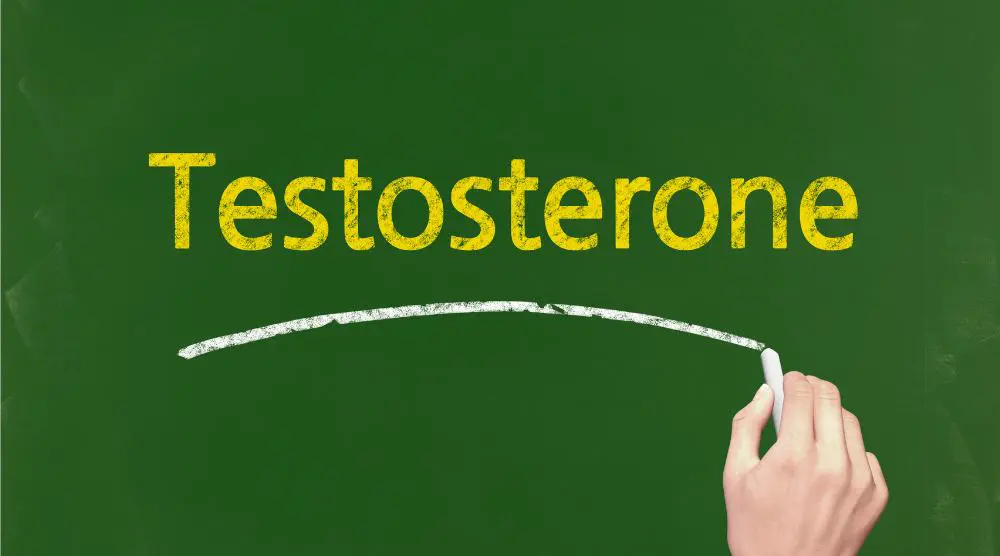 Testosterone Replacement Therapy in Tampa, Florida
