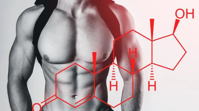 Summary: Testosterone supplements in Tampa, Florida